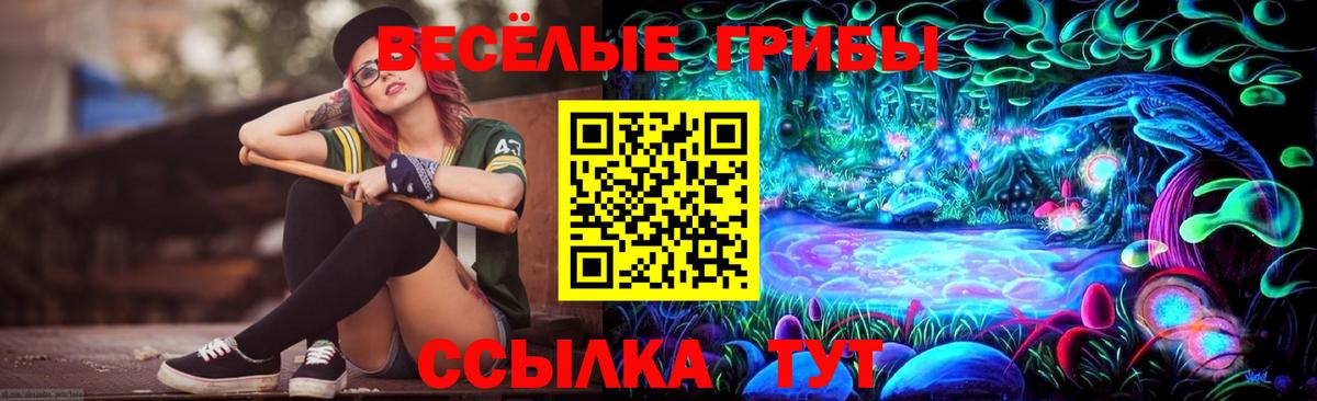 Галлюциногенные грибы ЛСД Гуково
