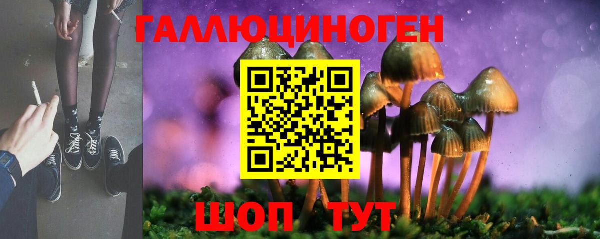 Гуково  Галлюциногенные грибы ЛСД  купить закладку  Псилоцибиновые грибы Psilocybine cubensis  Вход с VPN 